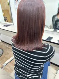 【おすすめメニュー☁️】カット➕ワンカラー➕セラミドトリートメント