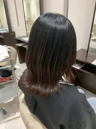 レディースカット（セミロング限定）