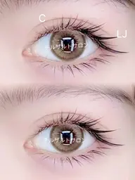 ワンホンデザイン400本(上のみ)