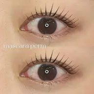 🫧マスカラパーマ(ラッシュリフト＋まつ毛ティント)🫧コーティング付 ¥6060