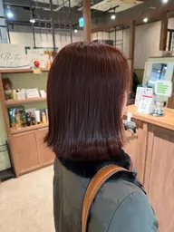 💫カラーのみ【全頭】