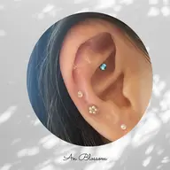 【美肌ケア🧖🏻♀️】耳ツボジュエリー👂🏻💎両耳10粒 耳マッサージ付き✨️