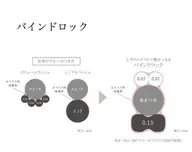 【ご新規様限定🎊✨】圧倒的持続力✨新技術バインドロック両目100束(300本)🌿まつげの少ない方にオススメ❣️