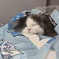 🧚🏻 リピーター様専用 🧚🏻