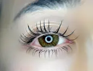 💛下まつげつけ放題💛