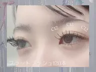 【平日限定】 シングル セーブル 120本 オフあり今だけアイシャンプー付き！