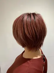 暖色カラー+お試しシーソートリートメント