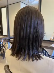 メテオカラーのみ（前処理込）