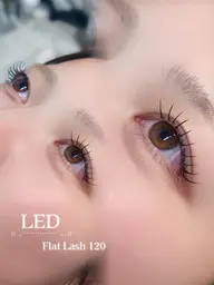 🌸LEDエクステモデル80本🌸 フラットラッシュ￥9130→￥3950