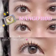 🎀ミニモ学割🎀まつげパーマ¥4,300