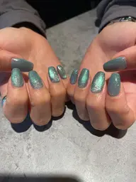 ❣️特別価格❣️マグネットネイル【オフなし】