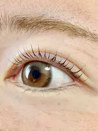 まつ毛パーマ上