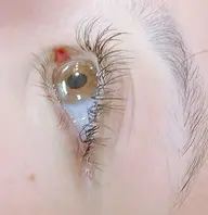 まつげエクステ【オフあり】🍒持続力高フラットラッシュ100本🍒