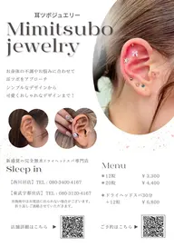 耳ツボジュエリー12粒