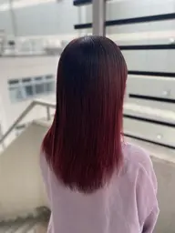 カット➕艶カラー➕トリートメント