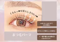 【4/12.13.14限定価格】✨🩵まつ毛パーマ🩵✨［大阪/梅田/茶屋町/中津］