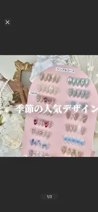 季節の16種類ゴージャスデザイン¥ 7980🥰🥰🥰🤗🤗