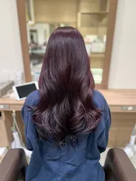 【新規限定♀️】🎠レディースカット+シャンプー+UVケアトリートメント🎠