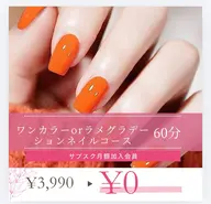 シンプルワンカラーorラメグラデーションネイルコース　オフ無し