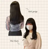 韓国人風地毛カラー🇰🇷🩶トリートメント付き