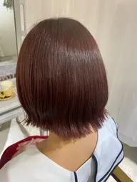 カット➕オーガニックカラー➕3stepトリートメント 🪽💞