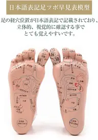 足裏30分+15分整体