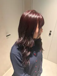 【ブリーチなし🍒】ダブルカラー➕トリートメント(透明感カラー、艶カラー)