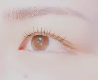 初回ラッシュリフト