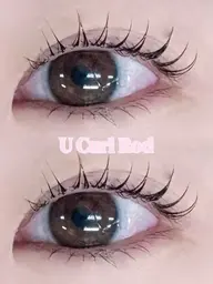 🍀上のみ🍀ラッシュリフト/パリジェンヌラッシュリフト