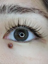 2回目以降フラットラッシュ100本迄✴️黒か茶系がお選びいただけます👌