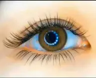 下睫毛つけ放題。他店Off無料、眉毛カット無料、眉毛メイク無料。