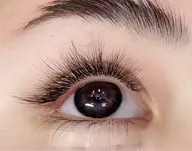 ワンホンマツエク　3Dボリュームラッシュ100束