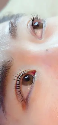 まつ毛パーマ(上のみ)