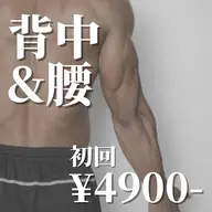 《初回限定⭐︎50%OFF》イオン導入◆背中&腰セット