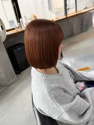 ボブカット＋ワンカラー⋆꙳✮