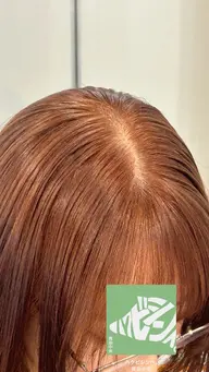 リピーター様専用😸 カット+オーガニックカラー