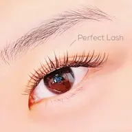 特許パーフェクトラッシュ 60束