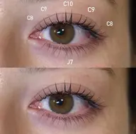 【🎀flat lash100本🎀】束感お仕上げ🩵