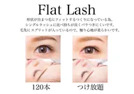 フラットラッシュ100本以上仕上げ※掲載情報にて日程をご確認の上ご予約下さい※