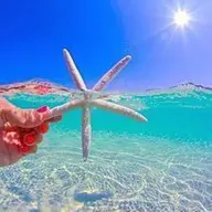 Mパーツ【1箇所1回¥3300】顔上・顔下・デコルテ・首・うなじ・V・I・O・ヒップの中からお選び頂けます✨