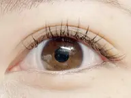 フラットラッシュ120本  オフ込み