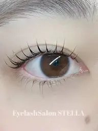 【ミニモ限定価格♪】次世代ラッシュリフト上下🌷