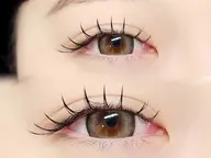 LEDフラットラッシュ120本￥2,980（オフ込み/上のみ）