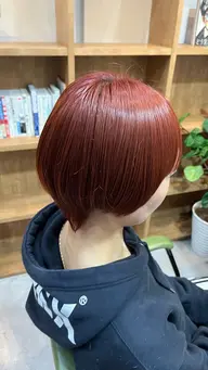 【🌼必見🌼】期間限定メニュー👑ダブルカラー＋『‎無害化✨️デトックス』トリートメント(レゾシステムトリートメント)