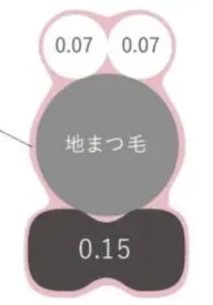 バインドロック200本