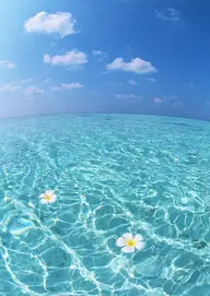 骨格似合わせカット⭐