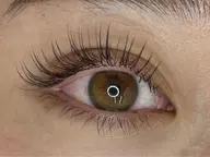 フラットラッシュつけ放題