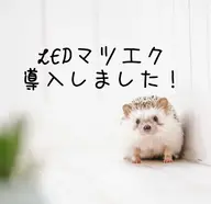 🌸最新LEDマツエク🌸【​〜​80本】圧倒的持続力、すぐに濡れても大丈夫！アレルギー発症率軽減！オイルクレンジング可能！