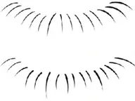 🦄下まつげ🌼[20本3000円]🍒[40本4000円]🌻[付け放題5500円]、漫画デザイン➕2000円