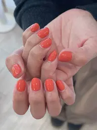 ワンカラー🍦パラジェルベース使用【オフなし・ケア込み】